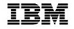 IBM logo