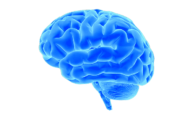 traffic_sign_detection