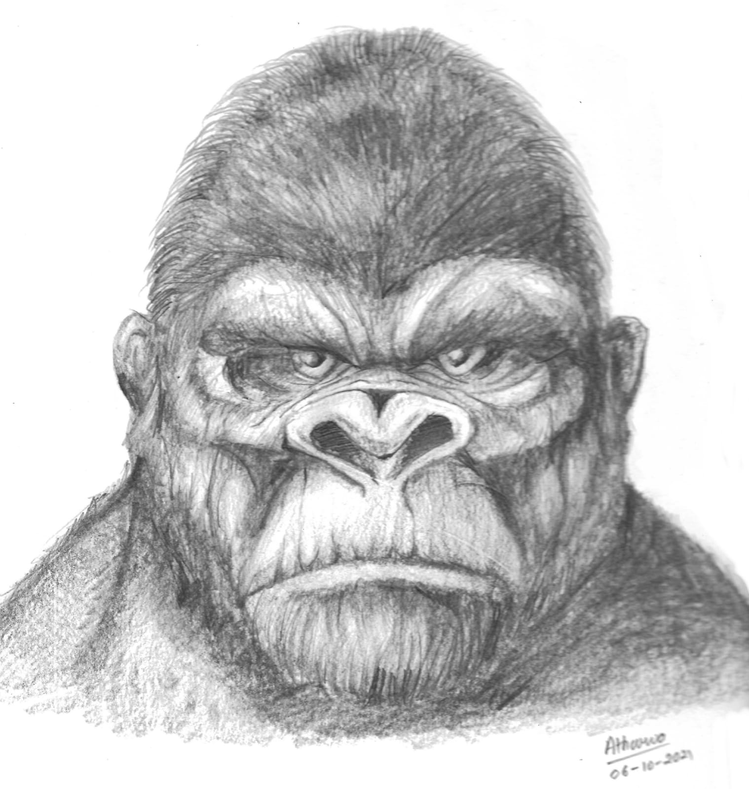 KingKong Sketch