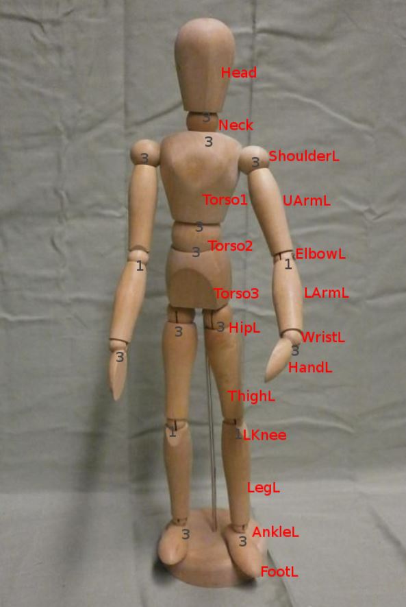 Humanoid Hierarchical Model