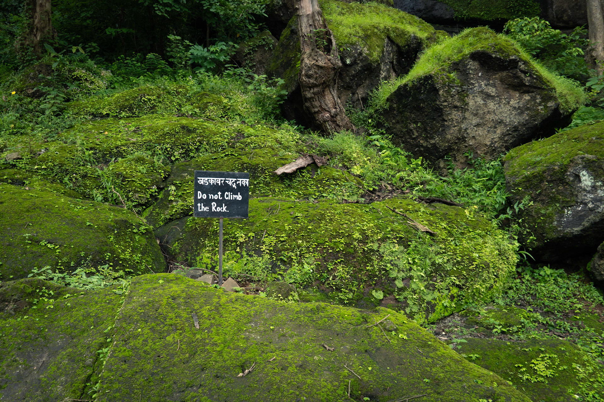 PLATO Outing to SGNP