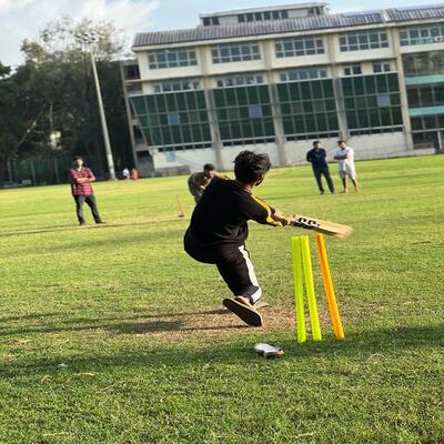 Cricket