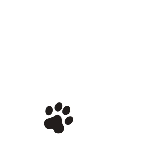 Paws