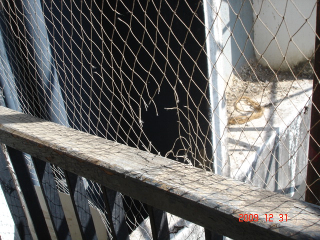 Balcony net