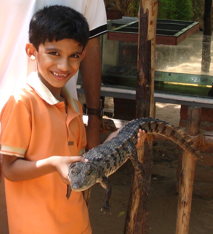 Young crocodile hunter with younger crocodile (at Crocodile Bank ...